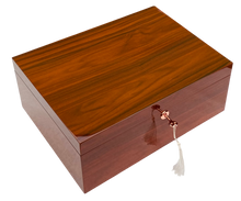 Jarrah High Gloss Wood Jewellery Box, Length 35cm