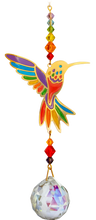 Rainbow Hummingbird Crystal Dreams