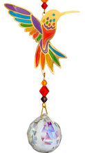 Rainbow Hummingbird Crystal Dreams