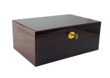 NEW European Walnut High Gloss Finish Wood Jewellery Box L30cm